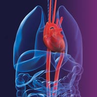 brahms-keyvisual-respiratory-pulmonary-cardiovascular-diseases